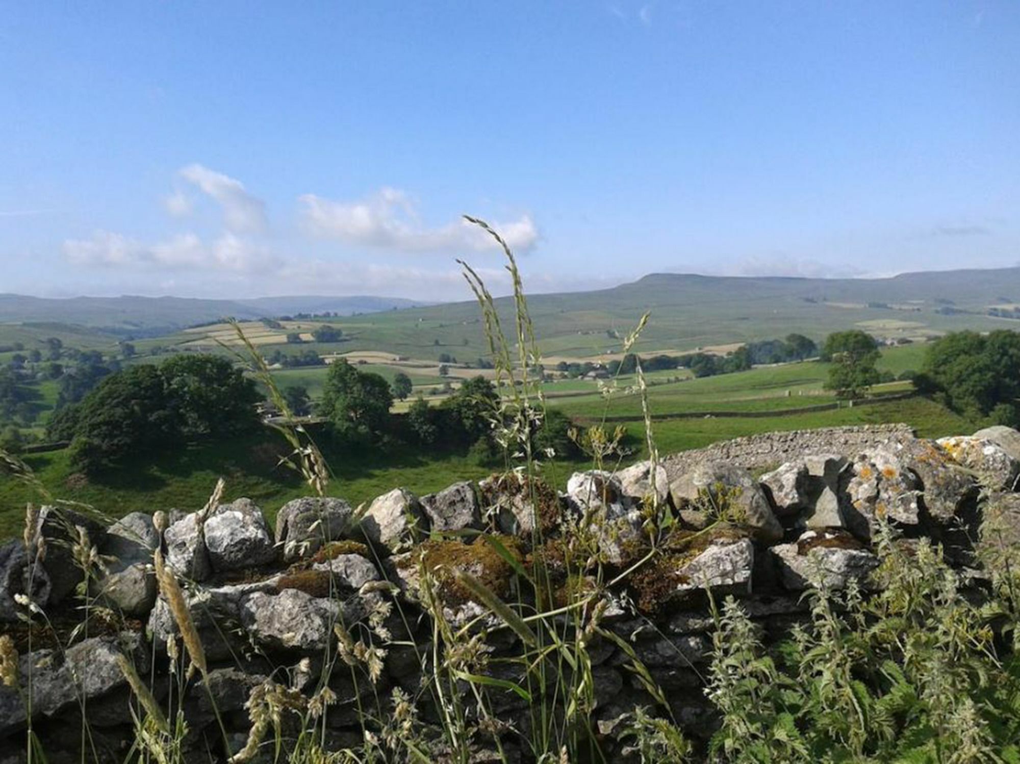 Thornsgill House Bed & Breakfast Askrigg Exterior foto